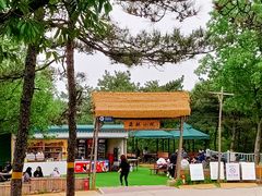 -北京西山国家森林公园