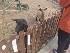-清风小镇闯关东影视基地