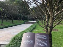 -南山植物园
