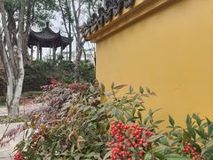 -太平天国侍王府