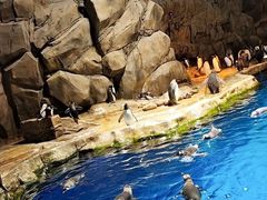 -香港海洋公园