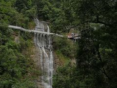 -九龙江国家森林公园