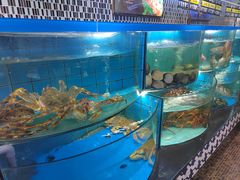 水产区-印象高密·凤都国际大酒店