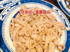 -西德顺爆肚王