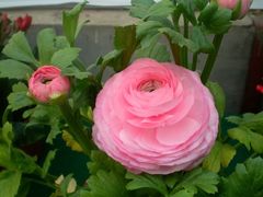 -金堂县云顶石城风景区