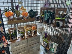-PAGEONE(北京坊店)