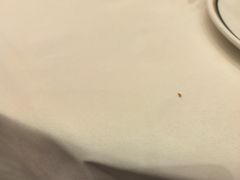 -喜宴又一村·粤菜·茶点·海鲜(壹方天地店)
