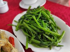 通菜-蛇口康乐快餐鱼仔档(翠苑小区店)