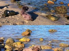 -花海间·即刻露营