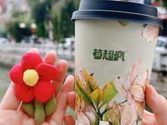 -莓超疯(百源店)