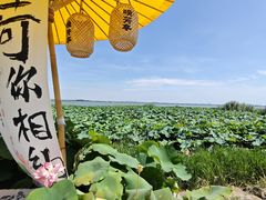 -七的湖·晚芳亭·阳澄湖农家菜·大闸蟹(莲花岛店)