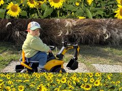 -汉长安城未央宫国家考古遗址公园