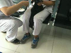 -中农大我爱我爱24h动物医院·中医针灸·猫专科·骨科医疗中心(双井店)