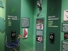 -珠海市博物馆