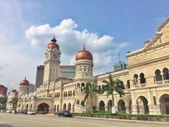 -罗汉果龙眼冰糖燉冬瓜