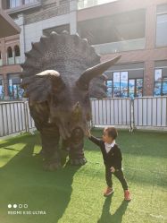 -恐龙探索乐园(磁器口店)