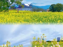 -三垟湿地