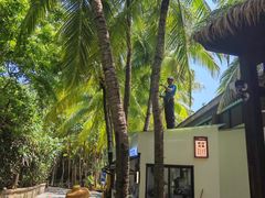 -海南分界洲岛旅游区