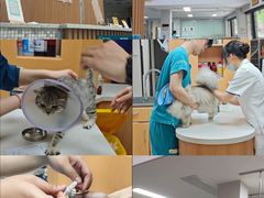 -联合动物医院(光谷诊疗中心)