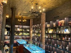 -雪灵魔法世界SHELLY’S TAROT(大良桂畔里店)