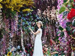 -正佳雨林生态植物园