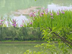 -同里国家湿地公园