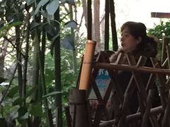 -西安国际创新人才交流中心•药浴温泉