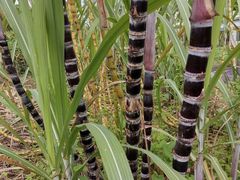 -任达丞国农庄(任达山庄店)