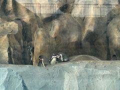 -武汉动物园