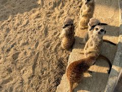 -茅山东方盐湖城景区