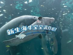 -珠海长隆海洋王国