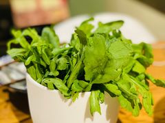 -十六蒲(桂林路店)