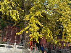 -宝通禅寺