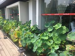 -墨宴(西洋湖店)
