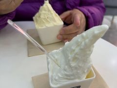 -野人先生现做冰淇淋(北京环宇荟店)