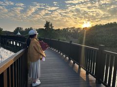 -大湾区中央湿地公园