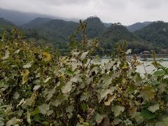 -飞霞风景名胜区