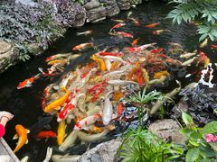 -聚福宝合苑食府(南头镇店)