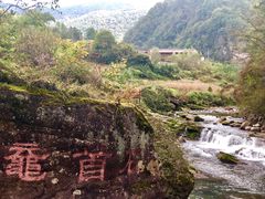 -黎坪国家森林公园
