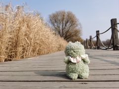 -野鸭湖国家湿地公园