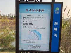-江滩湿地公园
