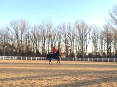 -月河湾马术俱乐部(朝阳店)