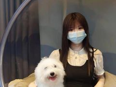 -汪说·狗咖(旺城大厦店)