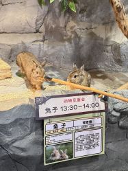 -Zoolung Zoolung动物主题公园(海信广场店)