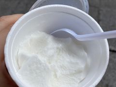 -洪馨椰子