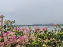 -福建鲤鱼洲酒店