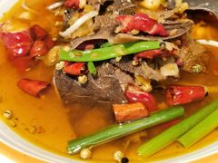 鲜花椒牛肚-肆月河豚·新淮扬(金融街店)