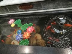 -红鼎坊·老成都火锅(新南门店)