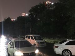 -杨合林啊兰烤鱼