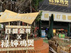 -禄婶鸡煲·打边炉